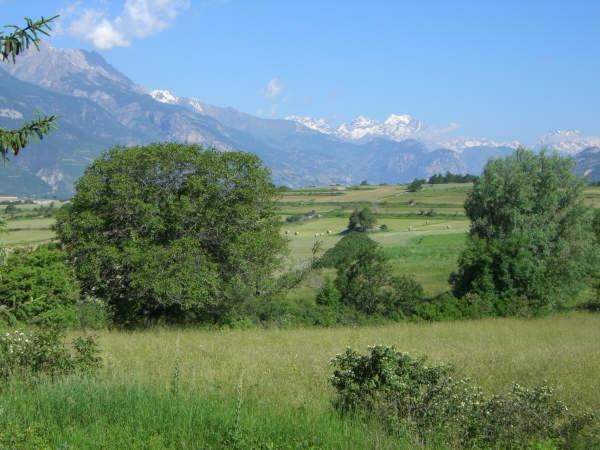 Alpineaccomodation กิลเลสตร์ ภายนอก รูปภาพ